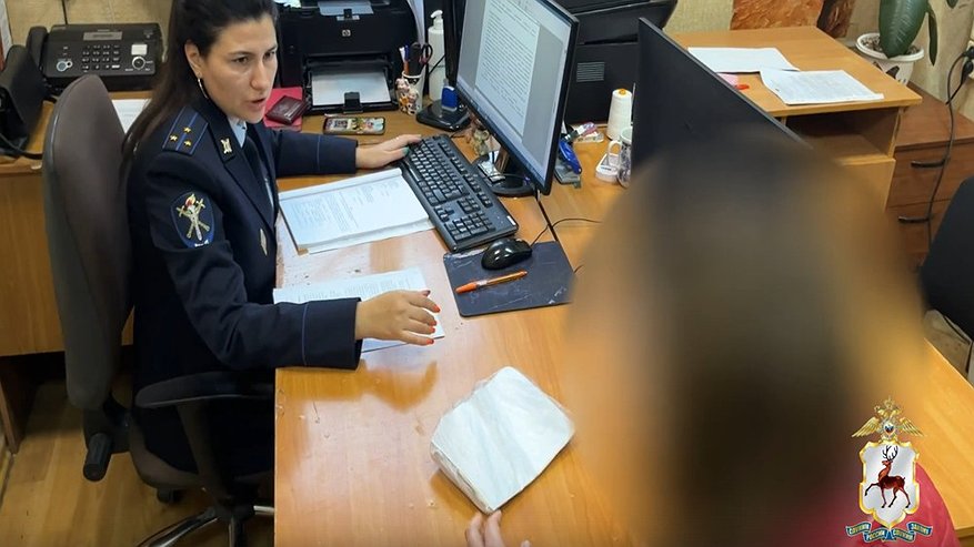Главная картинка новости: В Нижнем Новгороде 16-летняя школьница отдала мошенникам более 1,8 миллиона рублей