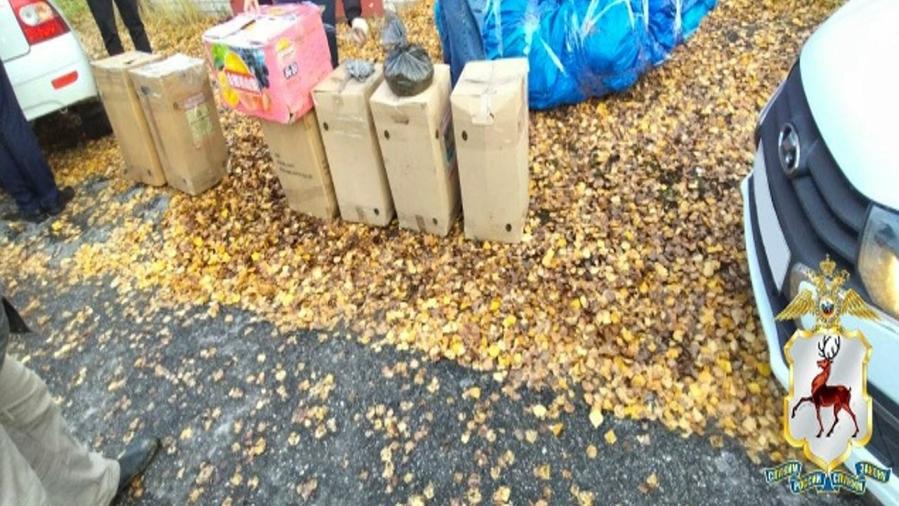 Главная картинка новости: В Городецком районе у местного жителя изъяли 20 килограммов запрещённых веществ