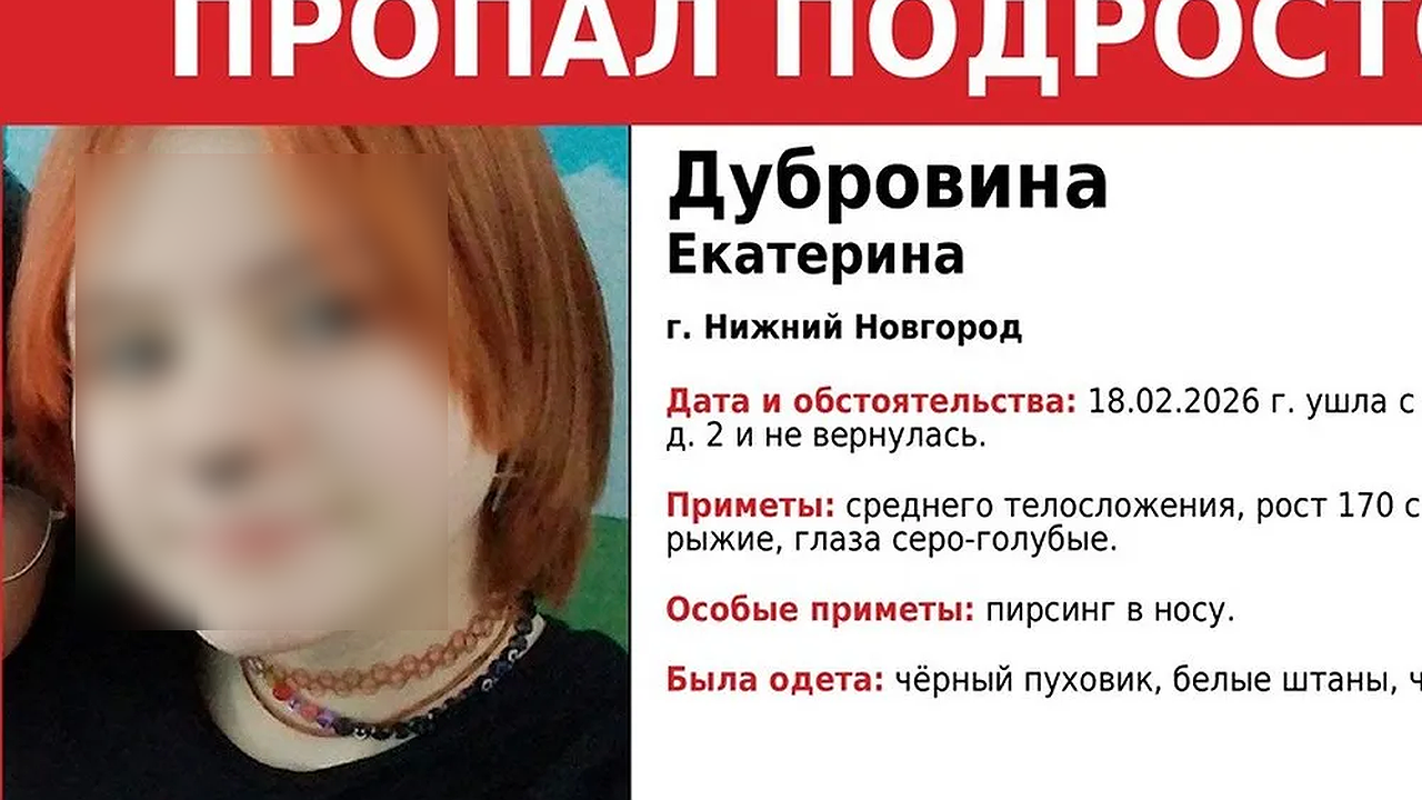 Главная картинка новости: В Нижнем Новгороде ищут 14-летнюю девушку с ярко-рыжими волосами