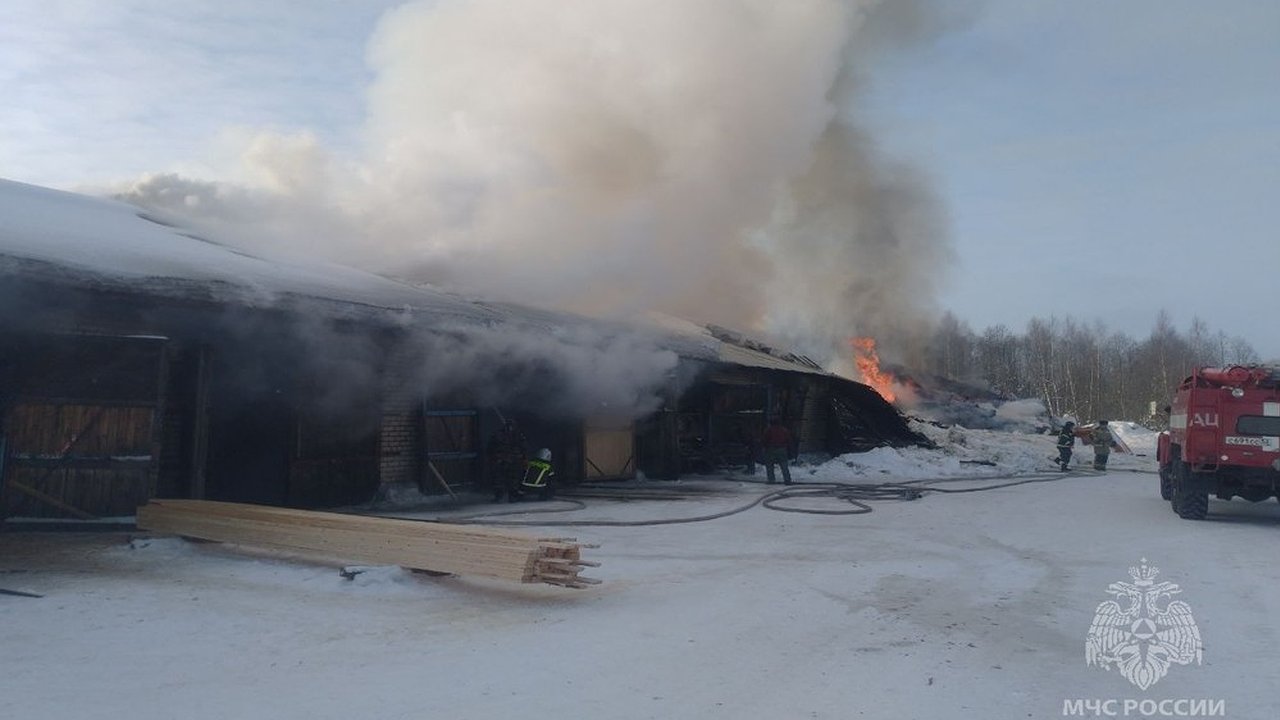 Главная картинка новости: В посёлке Тонкино пожар уничтожил пилораму на площади почти 1300 квадратных метров