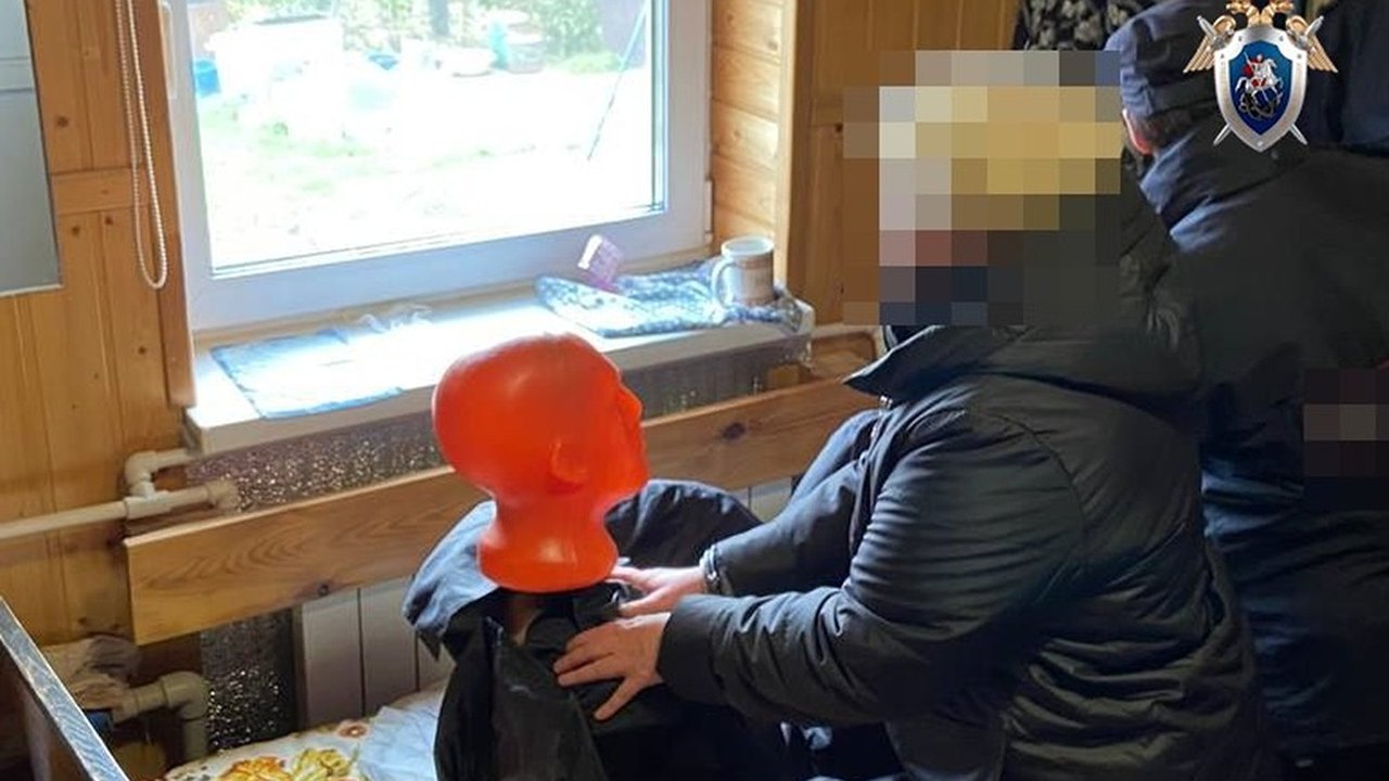 Главная картинка новости: В Бору завершено расследование дела о нападении женщины на свою мать