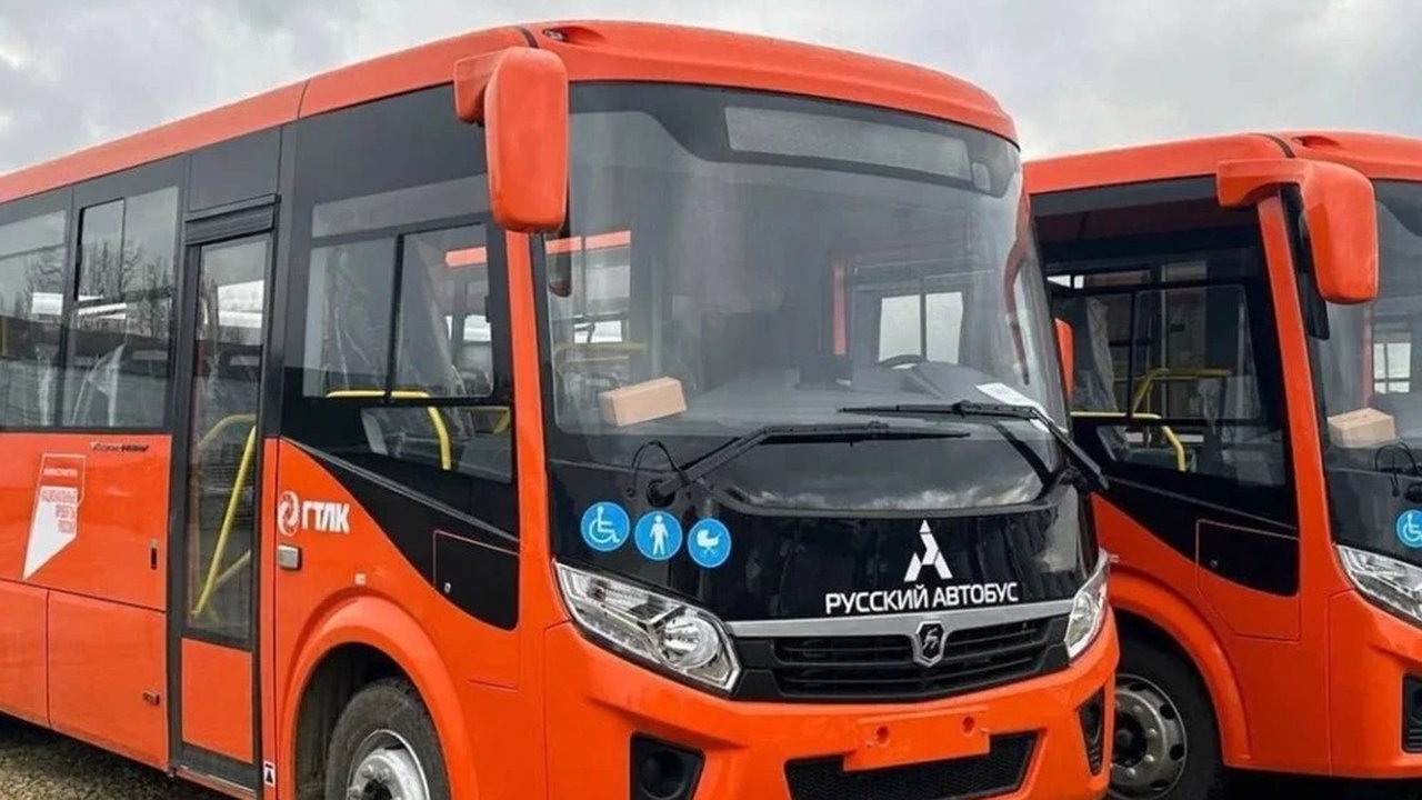 Главная картинка новости: В Балахнинском районе изменили расписание автобуса №207 по просьбам жителей