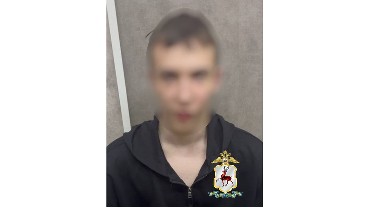 Главная картинка новости: В Нижнем Новгороде задержали 19-летнего организатора сим-бокса для мошенников