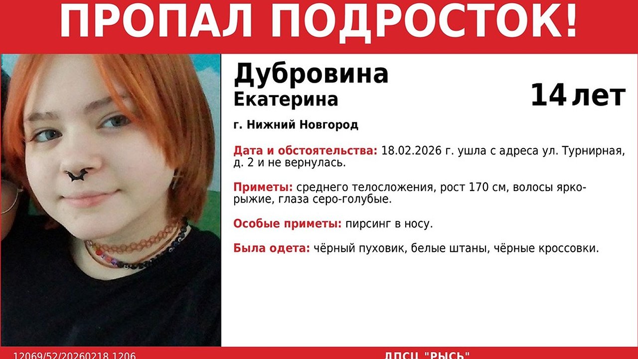 Главная картинка новости: В Нижнем Новгороде ищут 17-летнюю девушку с ярко-рыжими волосами