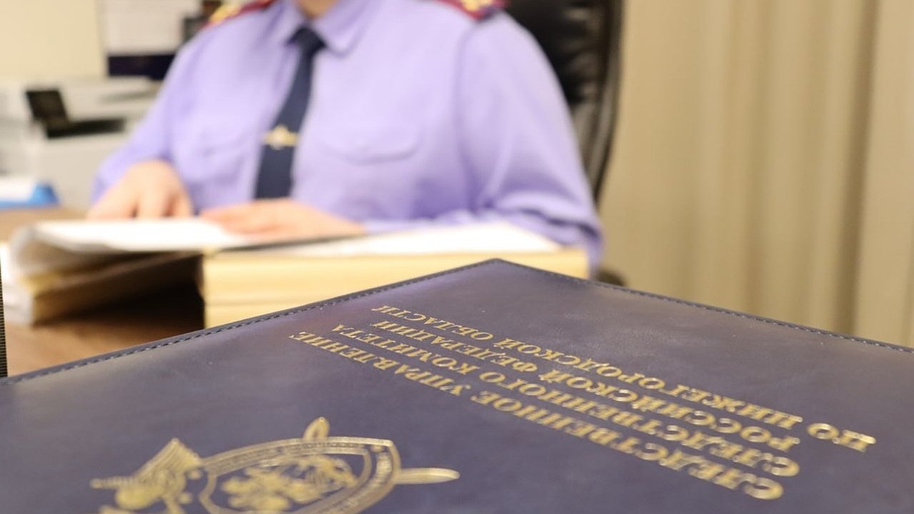 Главная картинка новости: Жителя Борского района обвиняют в расправе над соседями