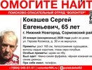 В Нижнем Новгороде волонтеры разыскивают пропавшего пожилого мужчину