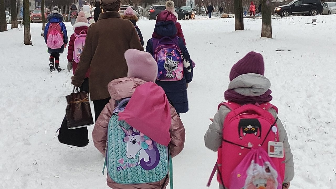 Главная картинка новости: Минобр Нижегородской области рекомендует не водить детей в школу из-за морозов