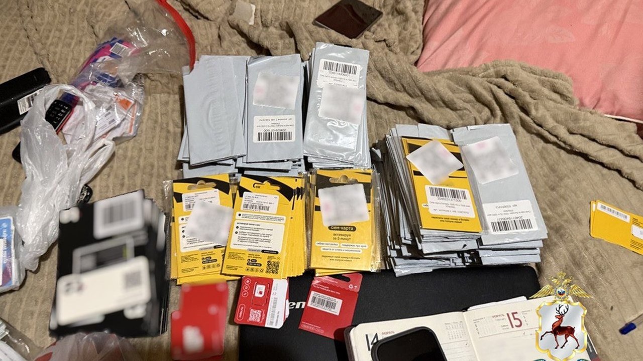 Главная картинка новости: В Арзамасе задержали организатора схемы для мошенников с 1804 сим-картами