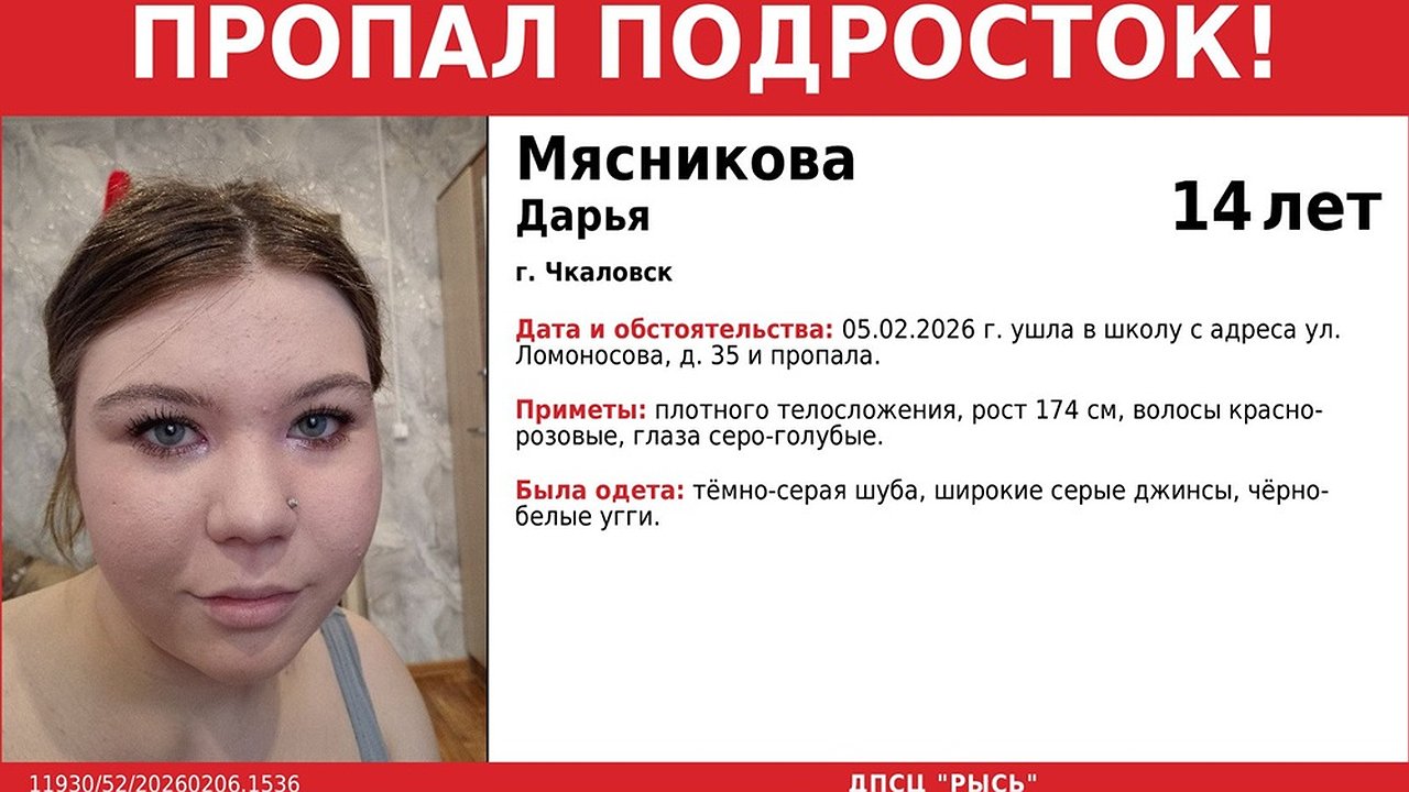 Главная картинка новости: В Чкаловске ищут пропавшую школьницу