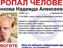 Пропавшую по дороге с дачи 73-летнюю пенсионерку ищут в Нижегородской области
