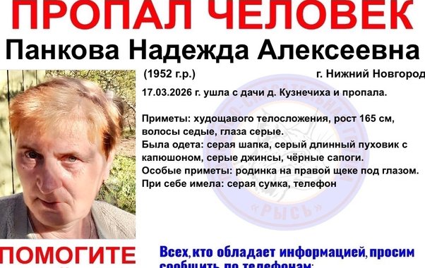 Пропавшую по дороге с дачи 73-летнюю пенсионерку ищут в Нижегородской области