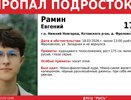 Пропавшего в деревне Фроловское 16-летнего подростка ищут в Кстовском районе