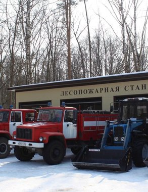 Шалабаев поручил лесникам повторить прошлогодний результат с отсутствием пожаров