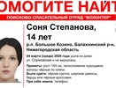 В Большом Козине объявили поиски 14-летней девочки