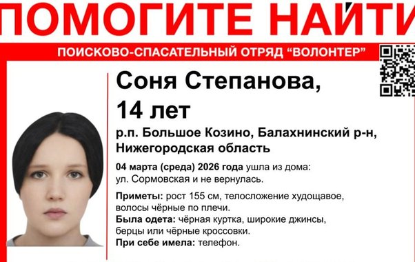 В Большом Козине объявили поиски 14-летней девочки