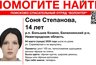 Миниатюра новости: В Большом Козине объявили поиски 14-летней девочки