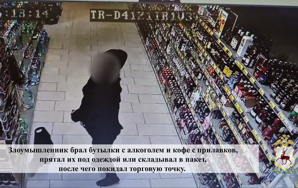 Полиция задержала серийного магазинного вора в Нижнем Новгороде