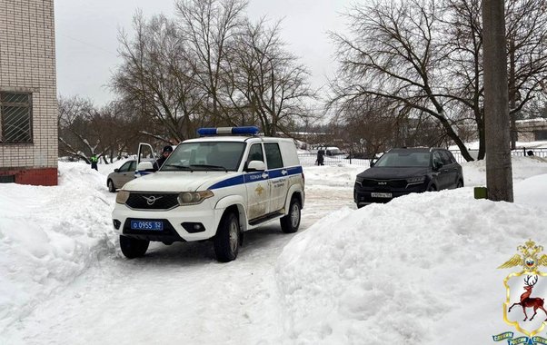 В Дзержинске пассажиров остановленной машины арестовали за угрозу полиции