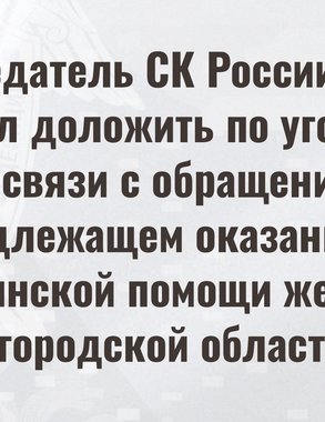 Бастрыкин потребовал доклад по делу о гибели пациентки в Нижегородской области
