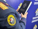 В Нижнем Новгороде водитель попытался сбить насмерть шумного прохожего