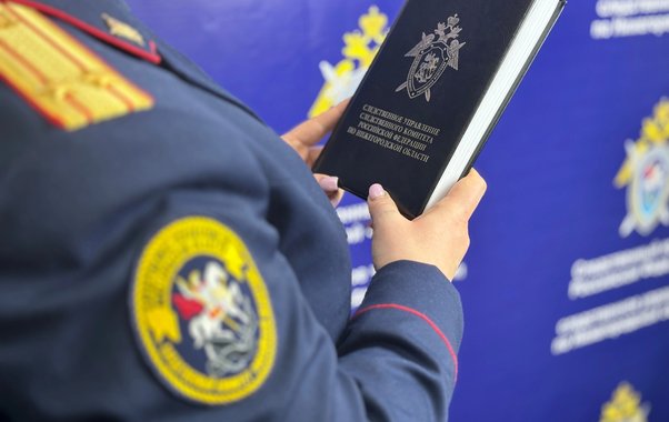 В Нижнем Новгороде водитель попытался сбить насмерть шумного прохожего