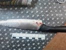 В Нижегородской области мужчина вонзил брату жены нож в грудь и шею